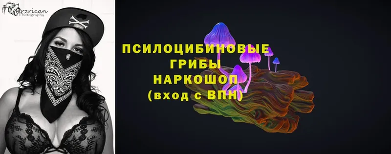 Псилоцибиновые грибы MAGIC MUSHROOMS  Зверево 